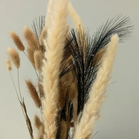 公寓 Athonos Secret Diamond *